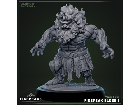 Pack de x4 ancianos Firepeak - Miniaturas con peana de 25mm