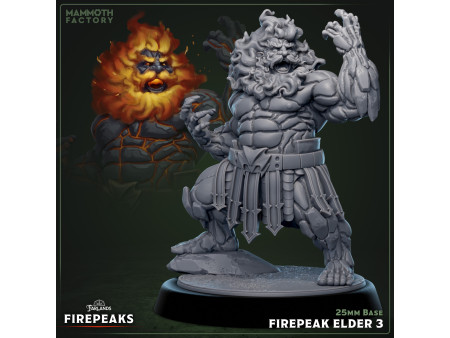 Pack de x4 ancianos Firepeak - Miniaturas con peana de 25mm