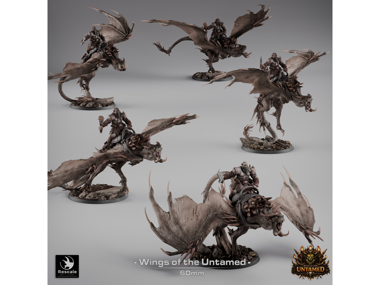 The Untamed Clan: pack de x5 jinetes de wyvernos - Miniaturas con peana de 60mm